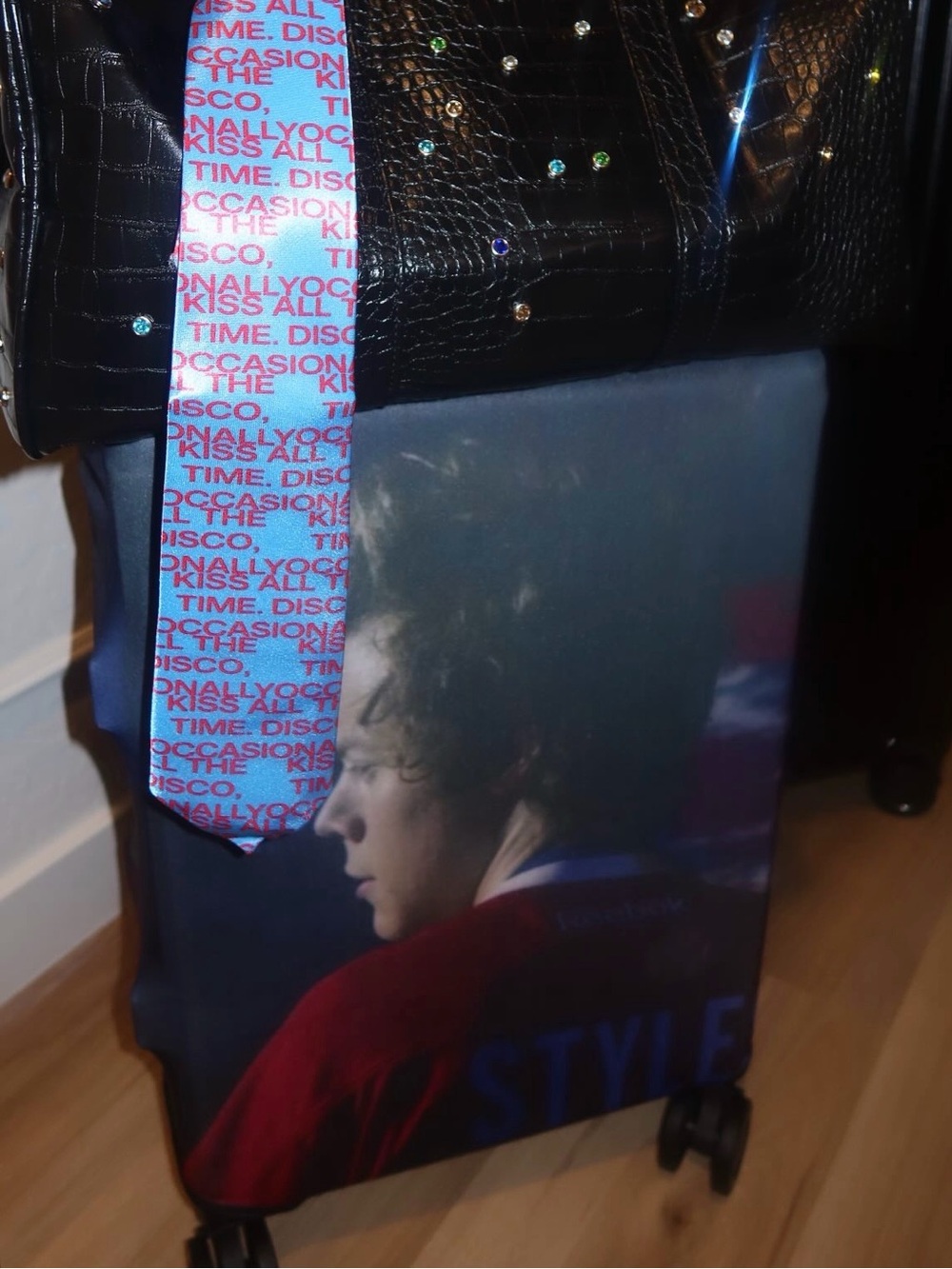 Harry styles luggage cover brand new condition frat boy Harry era